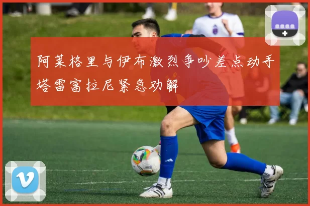 阿莱格里与伊布激烈争吵差点动手塔雷富拉尼紧急劝解