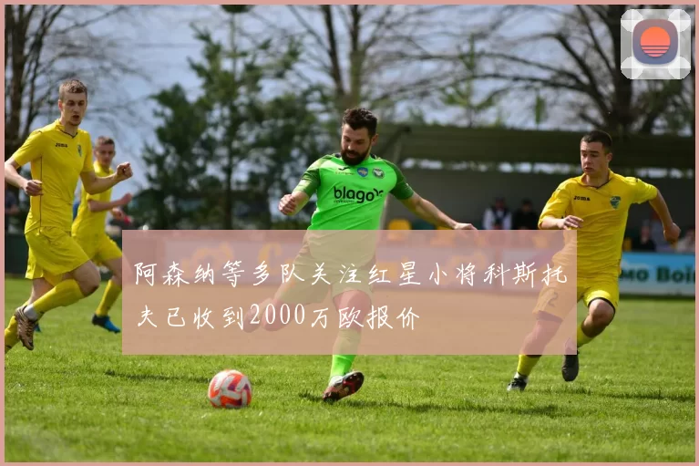 阿森纳等多队关注红星小将科斯托夫已收到2000万欧报价